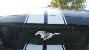 FORD Mustang 5.0 TiVCT V8 Mustang GT Fastb.